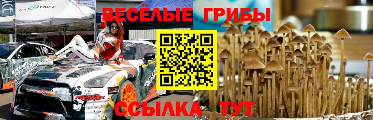 Галлюциногенные грибы ЛСД  Галлюциногенные грибы мухоморы  Ипатово  Вход с VPN 