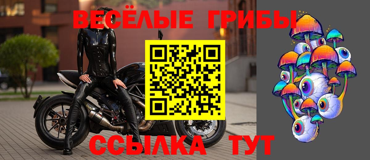Галлюциногенные грибы Psilocybe Ипатово